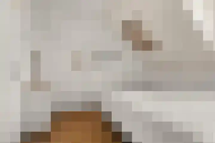 De Maatjes 81 Duiven thumbnail 17