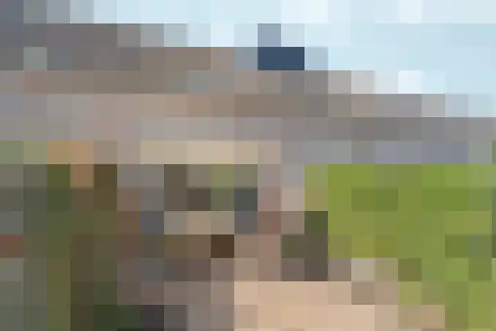 De Maatjes 81 Duiven thumbnail 28