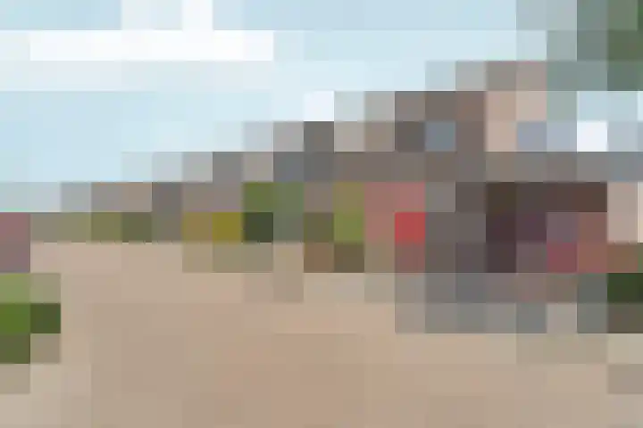 De Maatjes 81 Duiven thumbnail 30