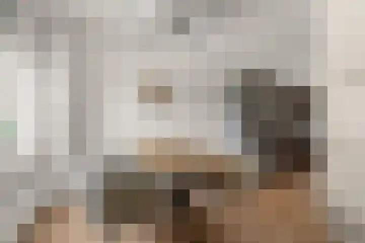 De Maatjes 81 Duiven thumbnail 7