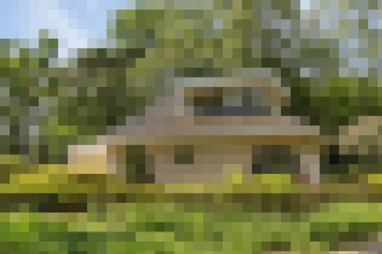 De Maccabae 10 Zelhem thumbnail 7