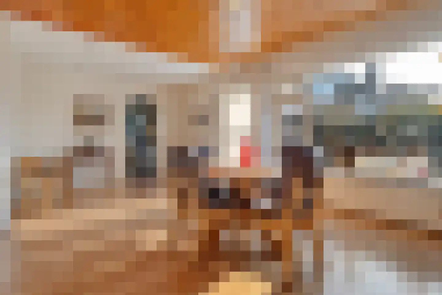 De Made 1 Beilen thumbnail 10