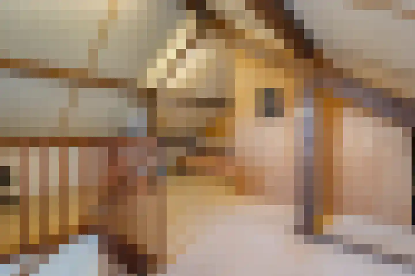 De Made 1 Beilen thumbnail 27