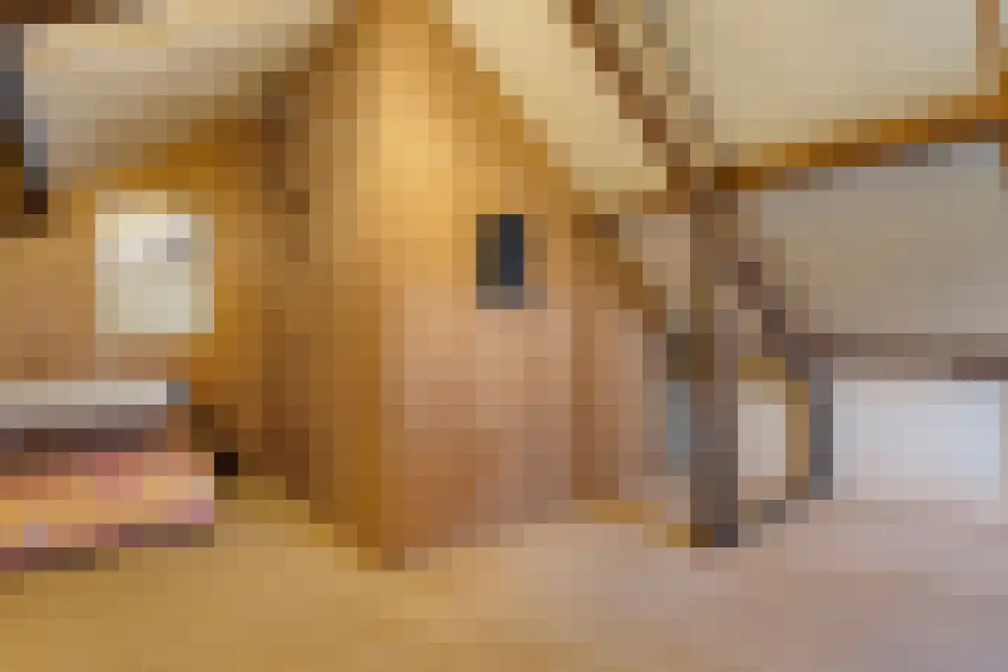 De Made 1 Beilen thumbnail 29