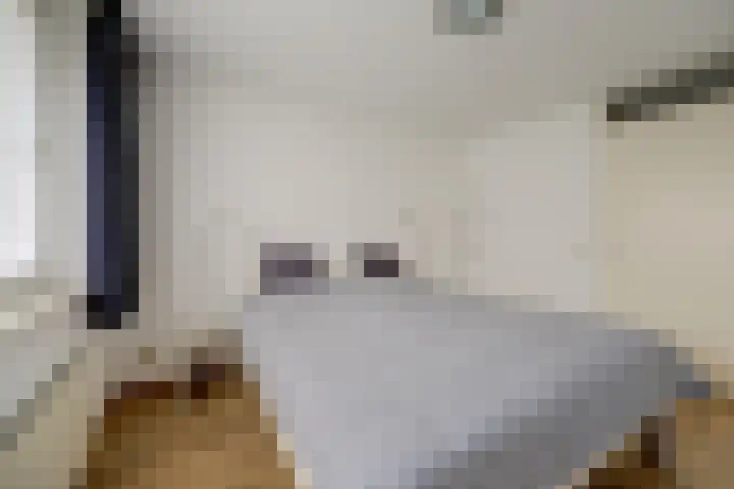 De Magistraat 29 Borculo thumbnail 14