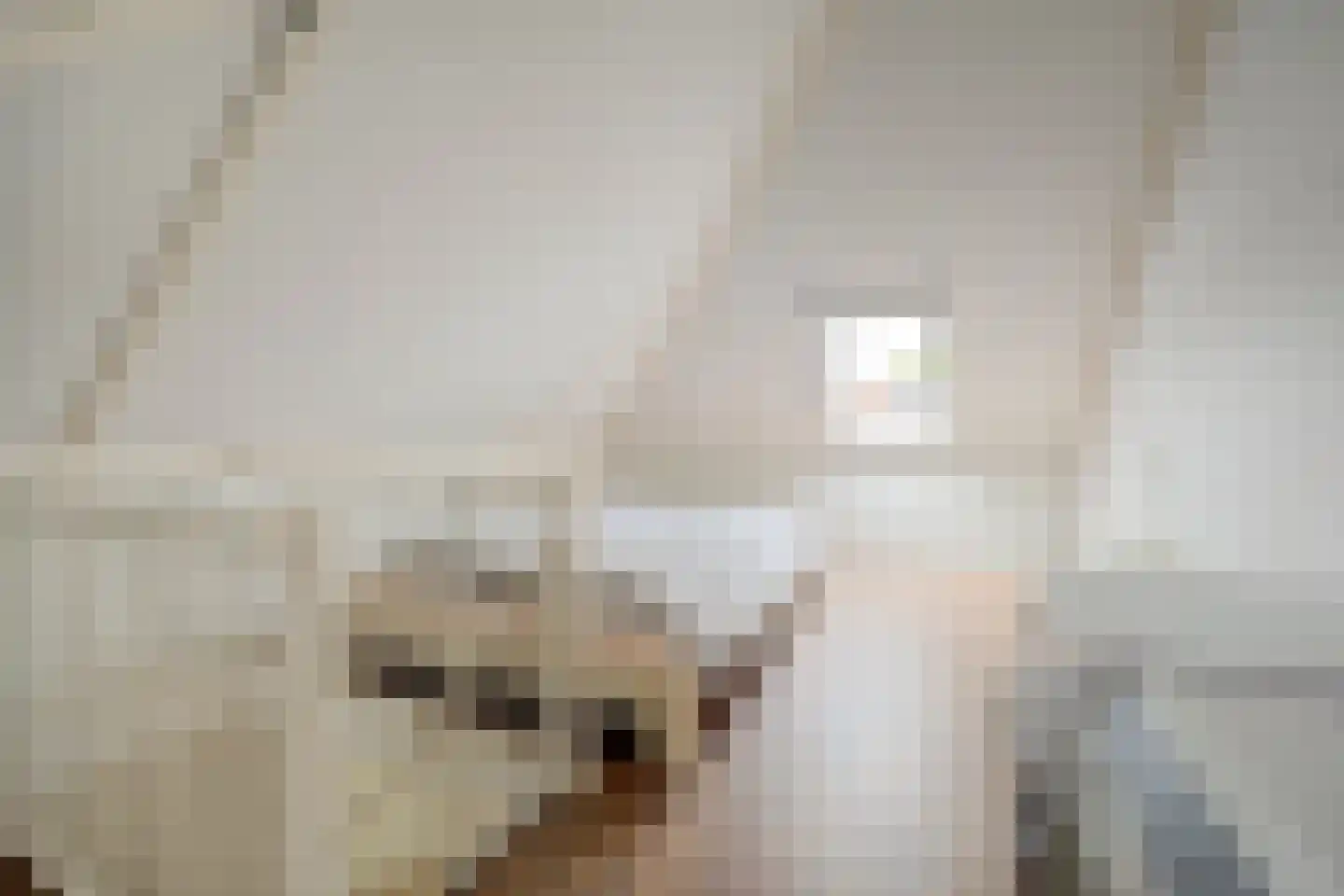 De Magistraat 29 Borculo thumbnail 18