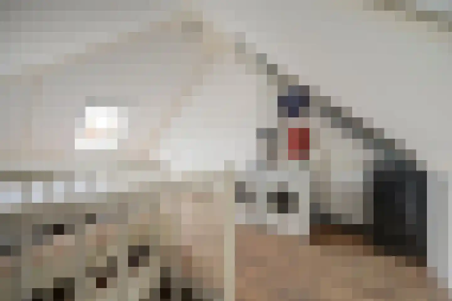 De Magistraat 29 Borculo thumbnail 19