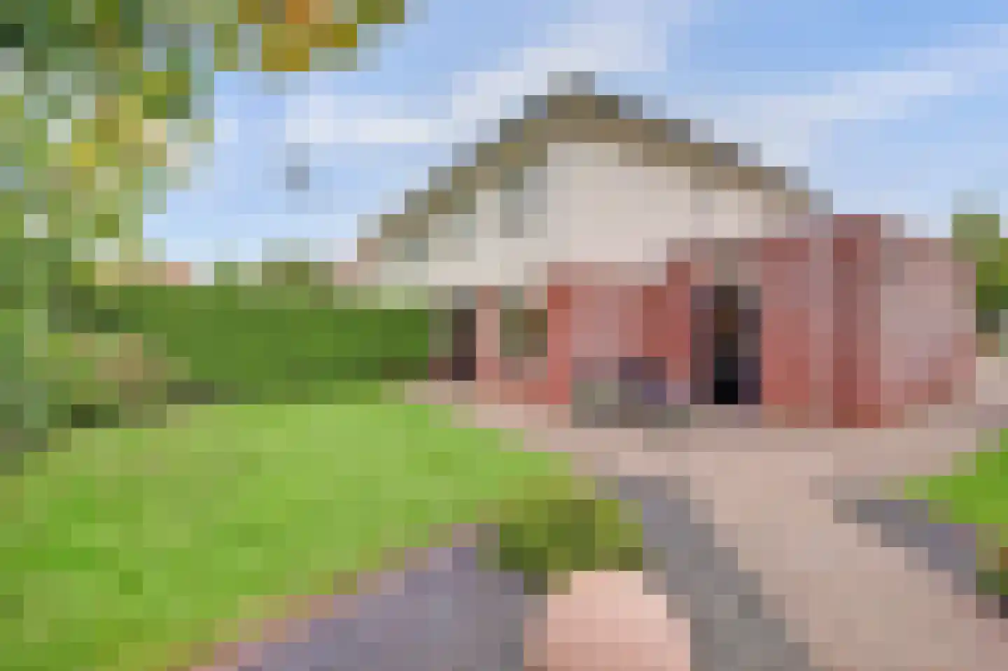 De Magistraat 29 Borculo thumbnail 23