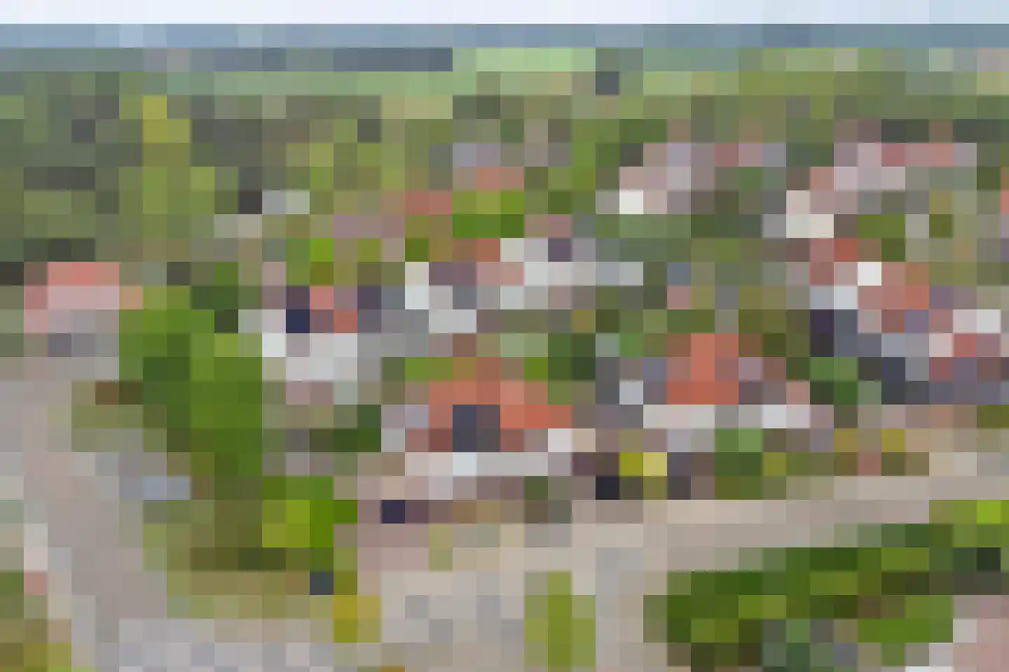 De Magistraat 29 Borculo thumbnail 27
