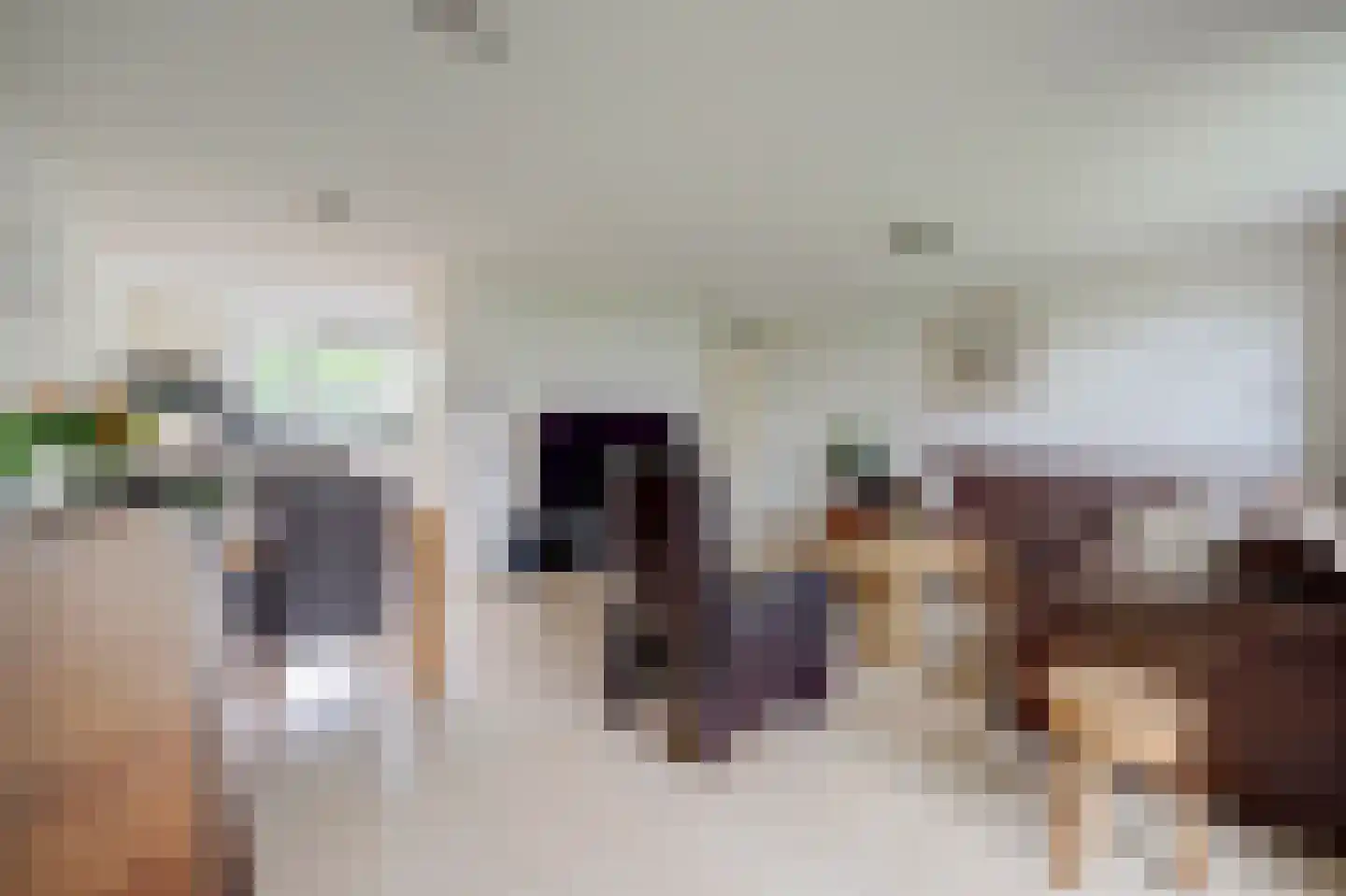 De Magistraat 29 Borculo thumbnail 8