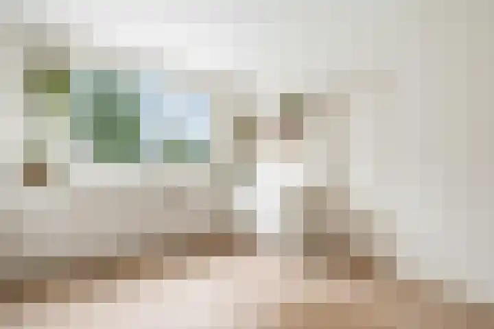 De Magnolia 12 Dedemsvaart thumbnail 15