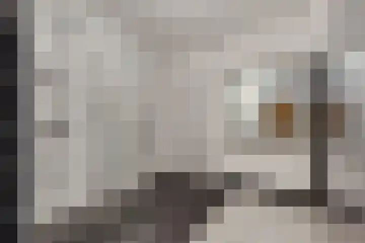 De Magnolia 12 Dedemsvaart thumbnail 25
