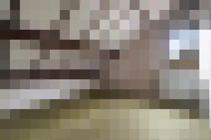 De Magnolia 12 Dedemsvaart thumbnail 31