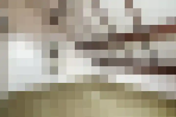 De Magnolia 12 Dedemsvaart thumbnail 32