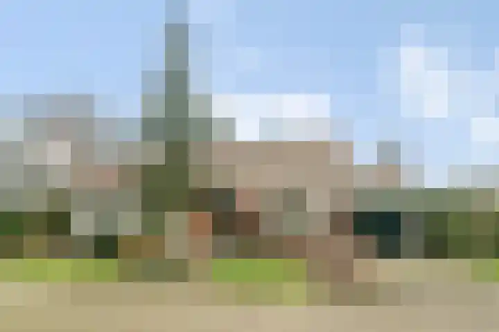 De Magnolia 12 Dedemsvaart thumbnail 36