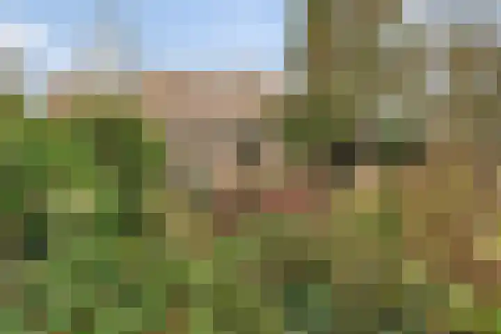 De Magnolia 12 Dedemsvaart thumbnail 37