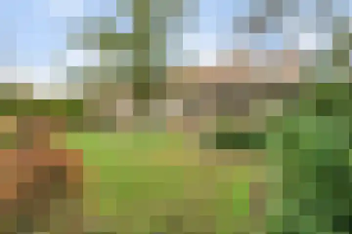 De Magnolia 12 Dedemsvaart thumbnail 38