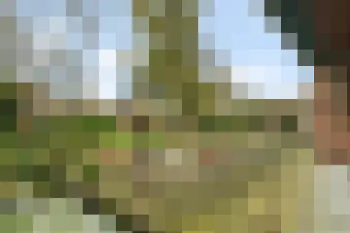 De Magnolia 12 Dedemsvaart thumbnail 6