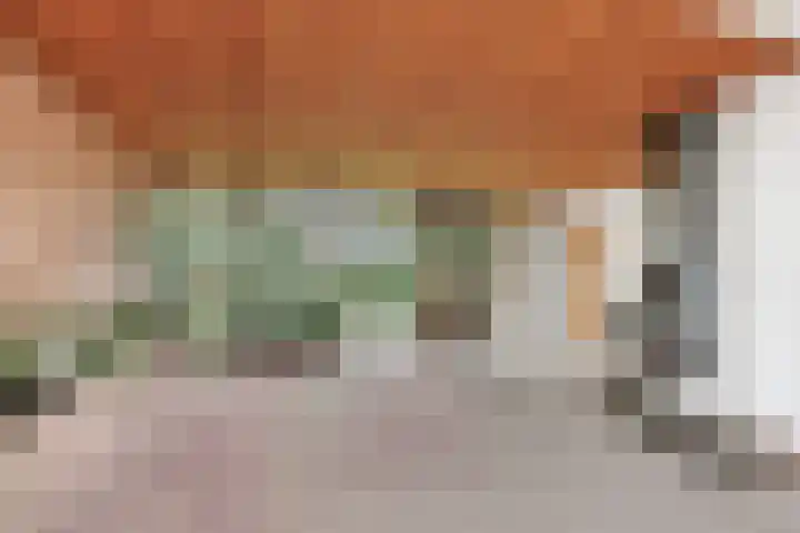De Magnolia 12 Dedemsvaart thumbnail 7