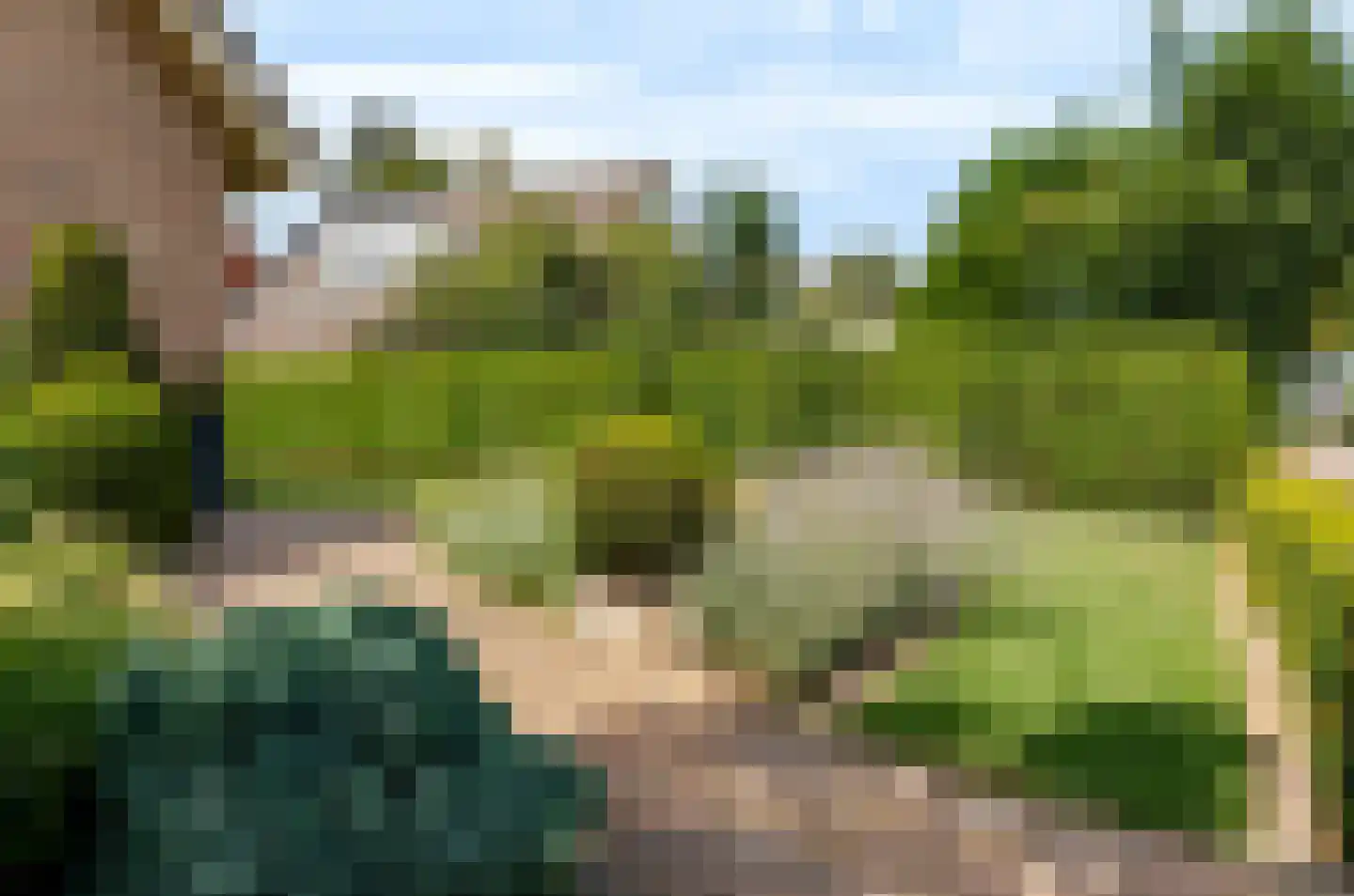 De Magnolia 24 Dedemsvaart thumbnail 10