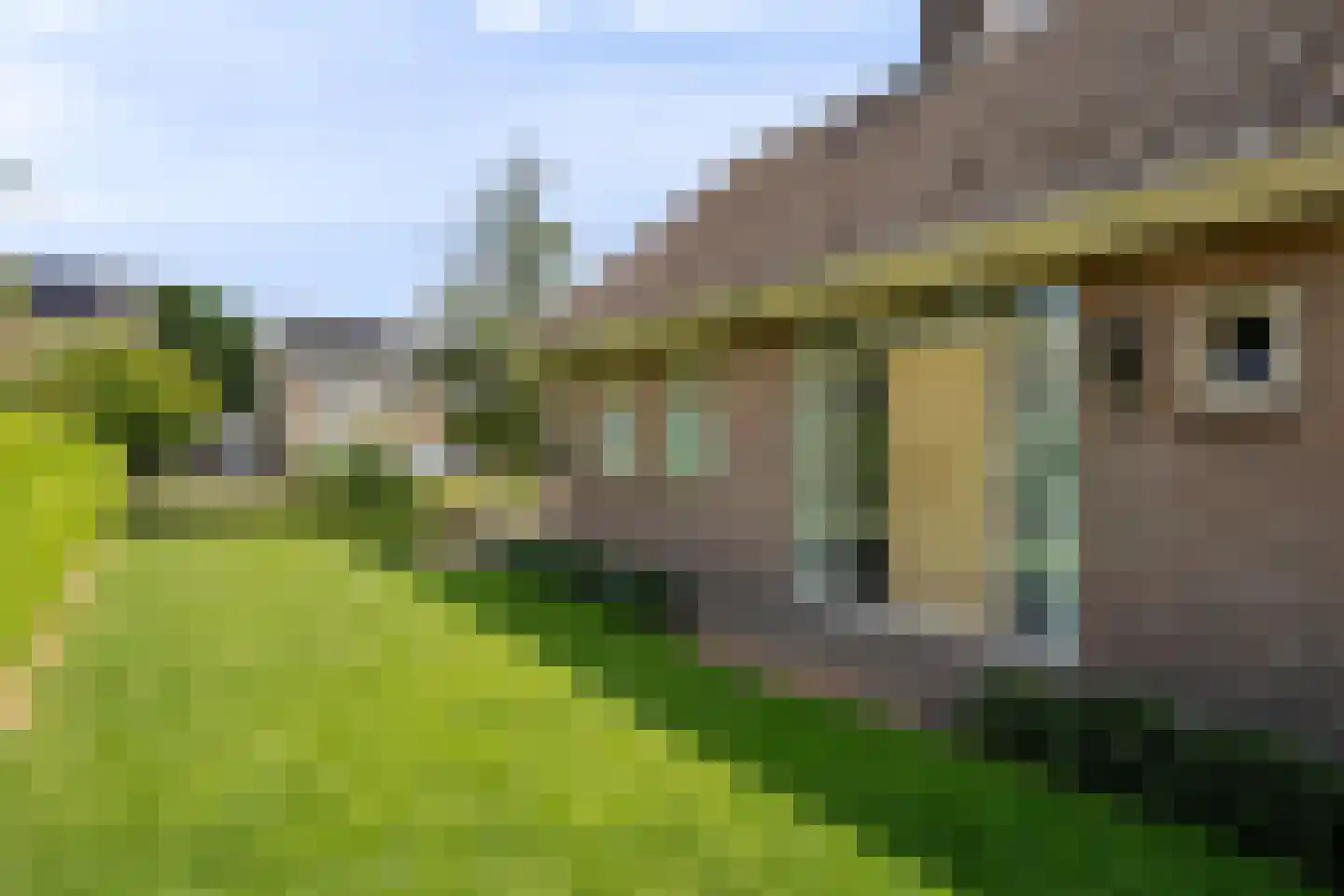 De Magnolia 24 Dedemsvaart thumbnail 11