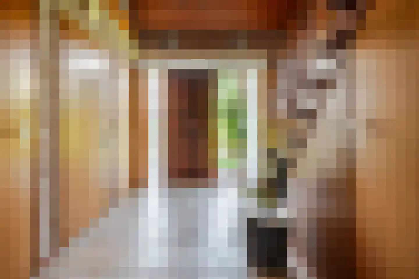 De Magnolia 24 Dedemsvaart thumbnail 14