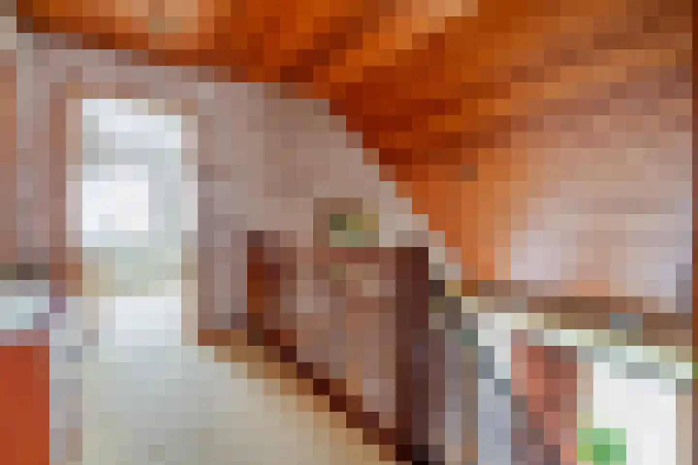De Magnolia 24 Dedemsvaart thumbnail 38