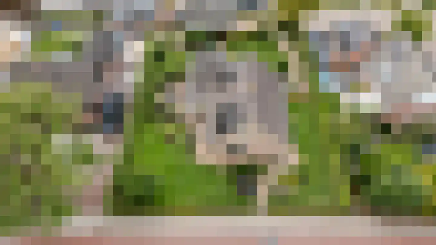 De Magnolia 24 Dedemsvaart thumbnail 4