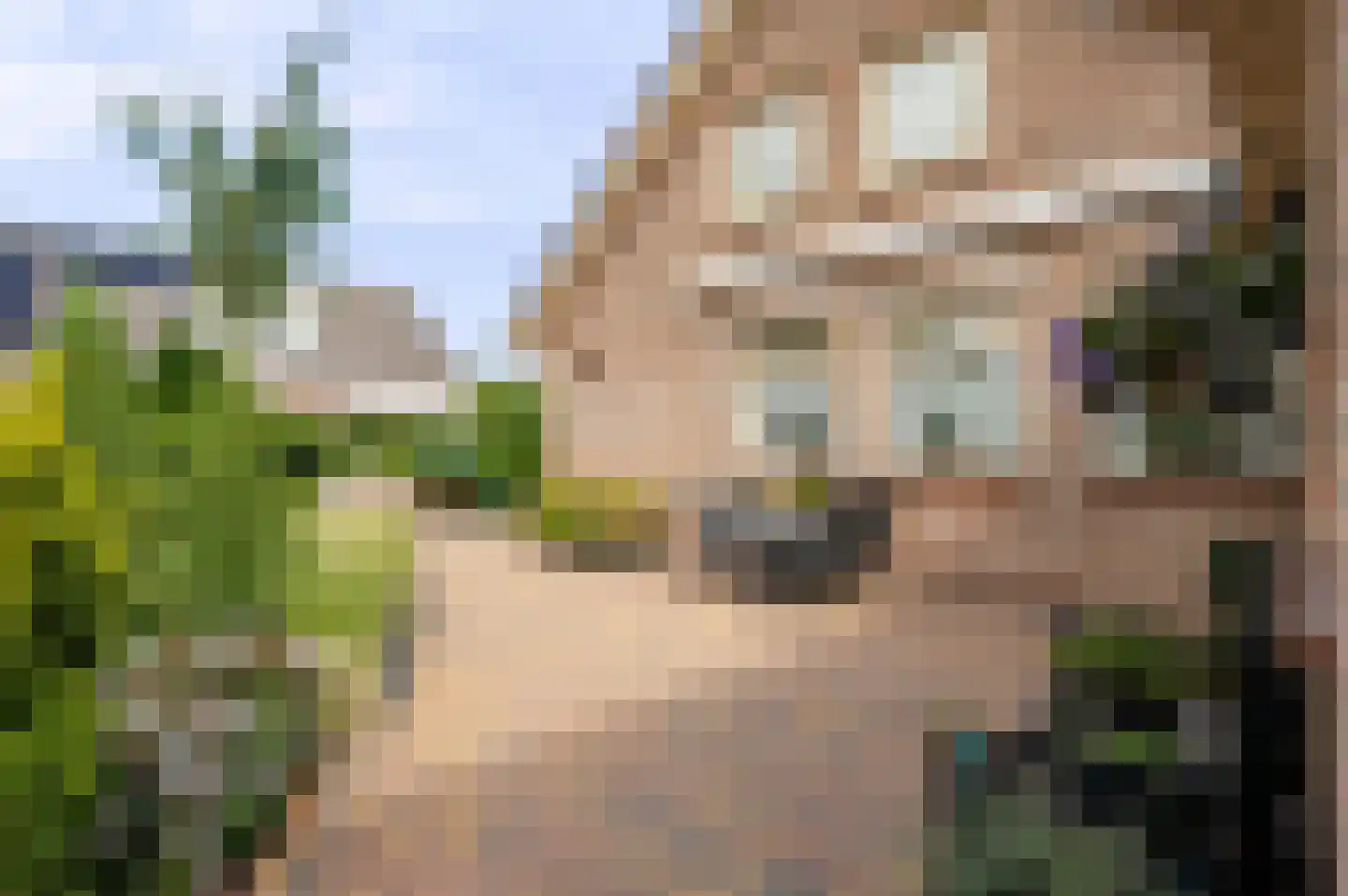 De Magnolia 24 Dedemsvaart thumbnail 49