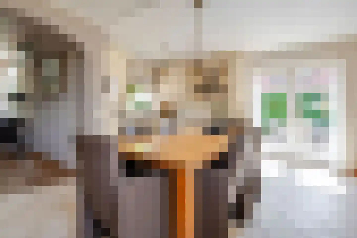 De Magnolia 24 Dedemsvaart thumbnail 5
