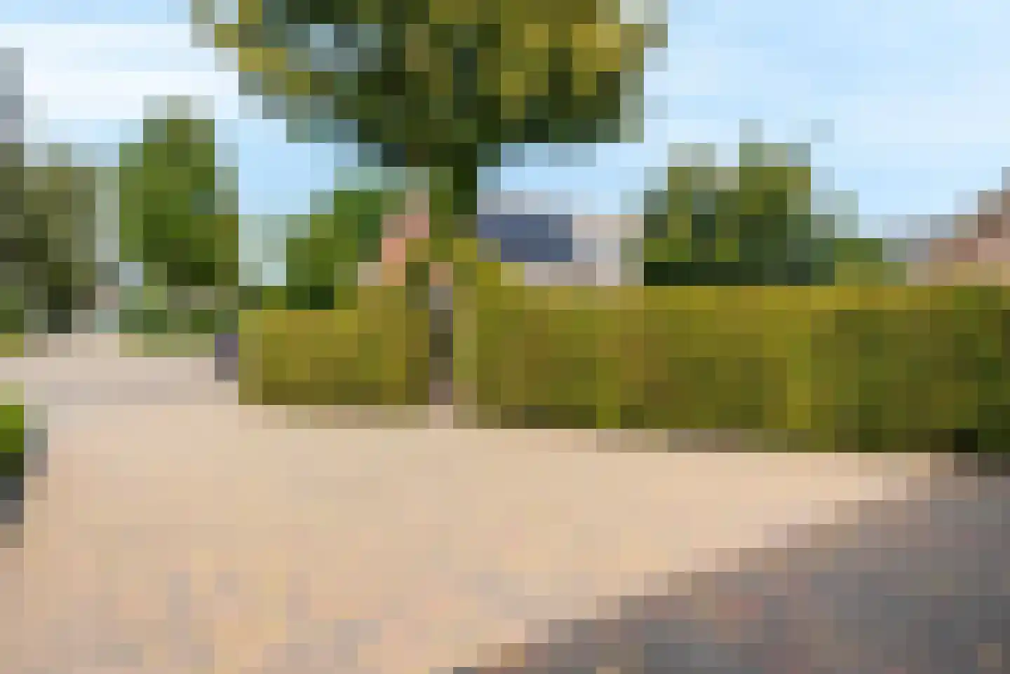 De Magnolia 24 Dedemsvaart thumbnail 69