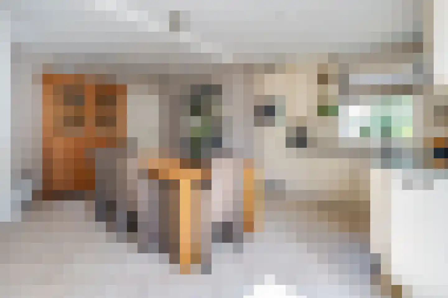 De Magnolia 24 Dedemsvaart thumbnail 7