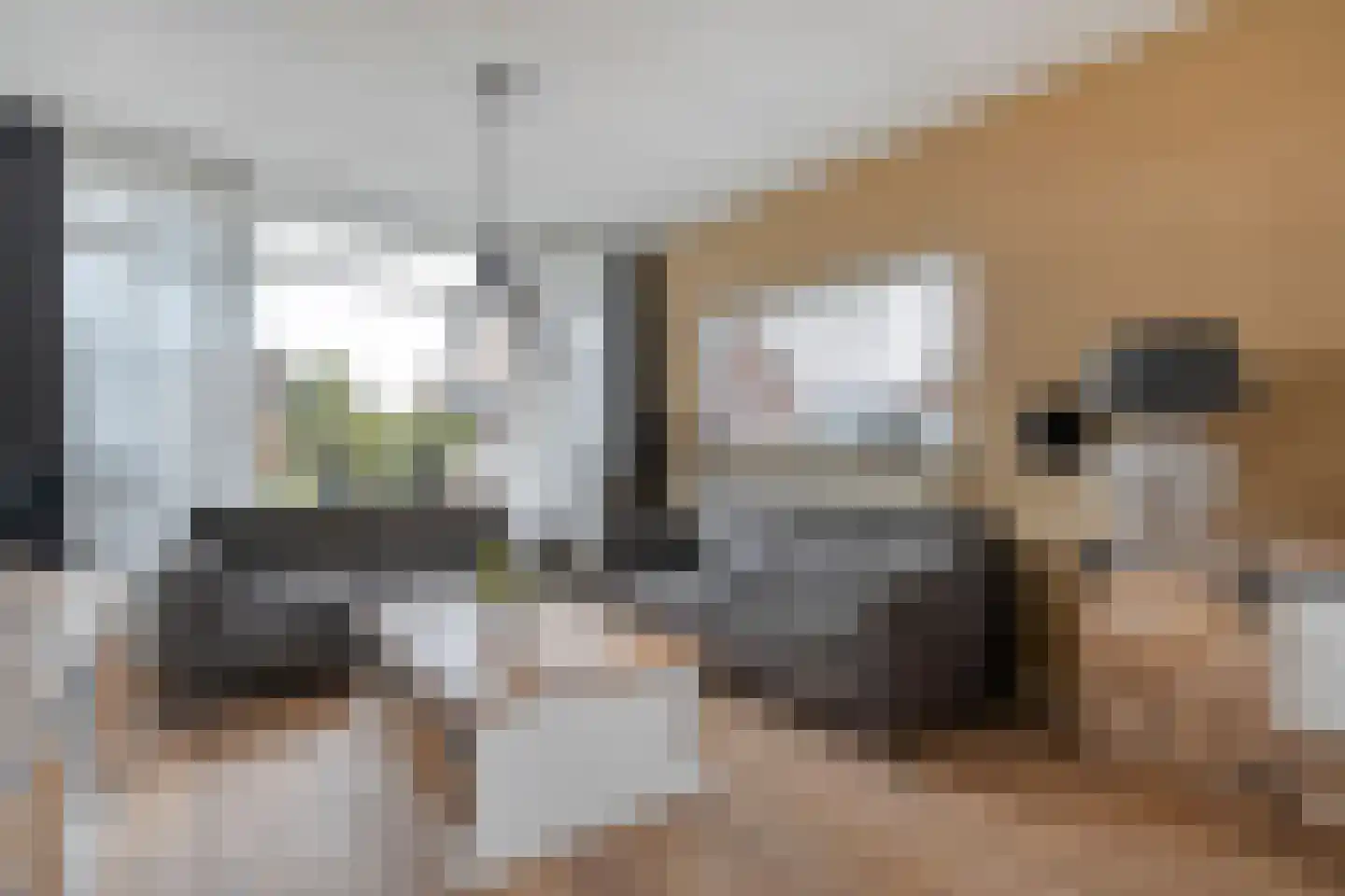 De Magnolia 37 Dedemsvaart thumbnail 13