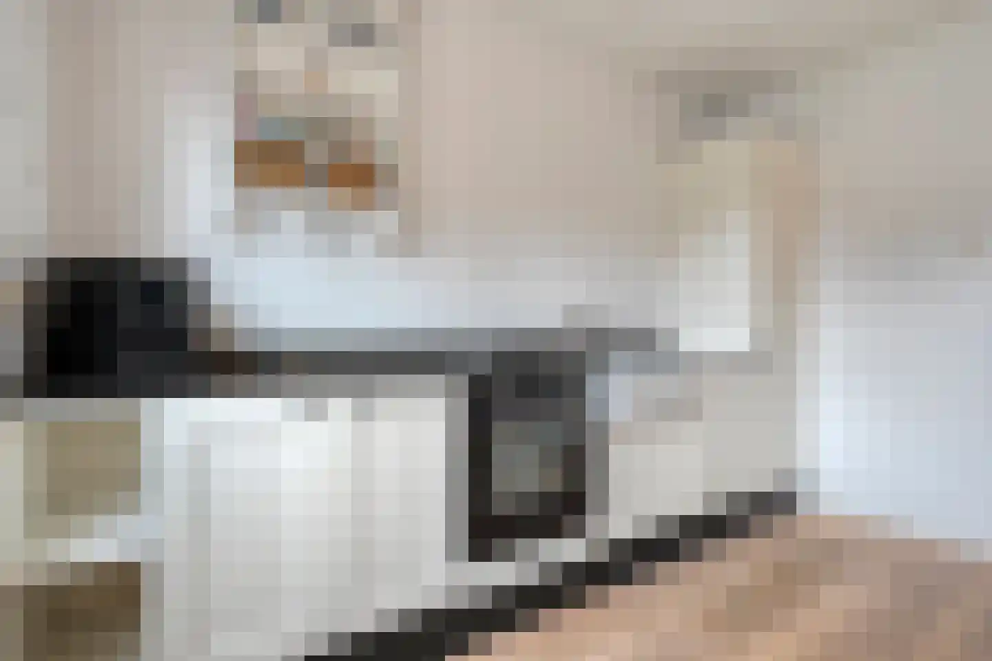 De Magnolia 37 Dedemsvaart thumbnail 18