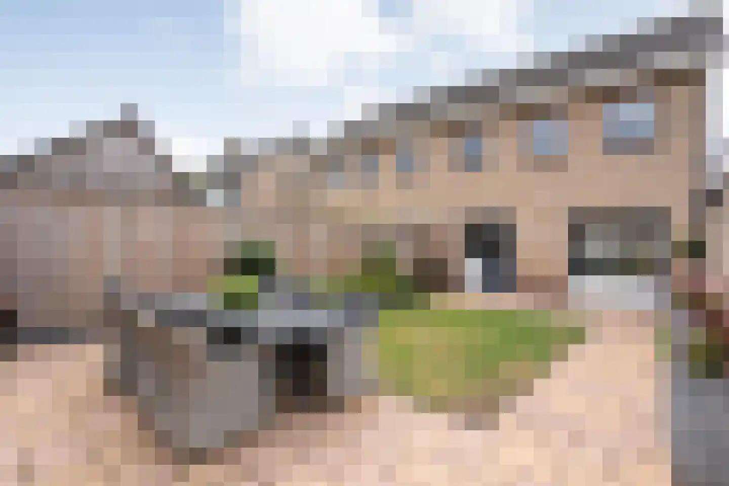 De Magnolia 37 Dedemsvaart thumbnail 41
