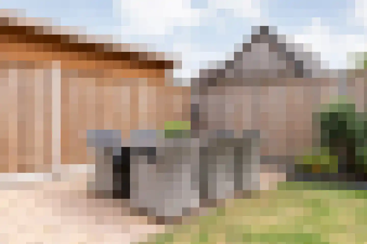 De Magnolia 37 Dedemsvaart thumbnail 43