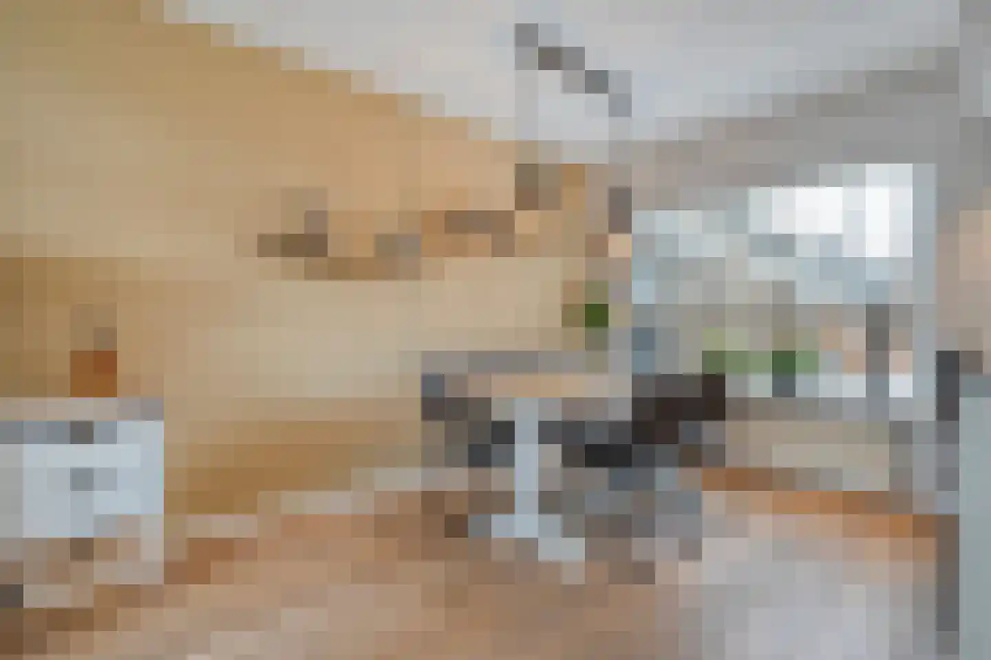 De Magnolia 37 Dedemsvaart thumbnail 5