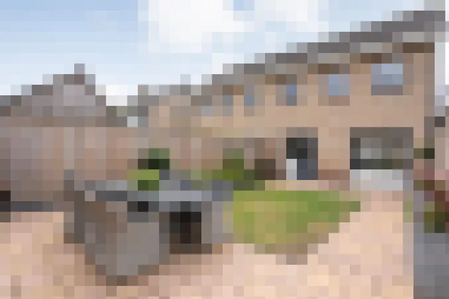 De Magnolia 37 Dedemsvaart thumbnail 6