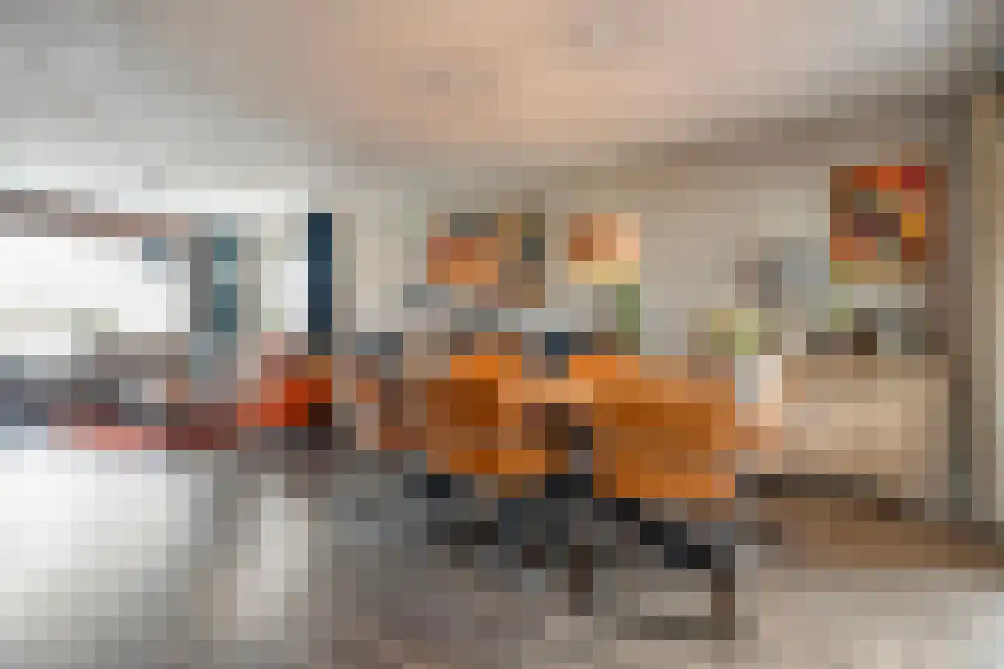De Magnolia 38 Dedemsvaart thumbnail 11