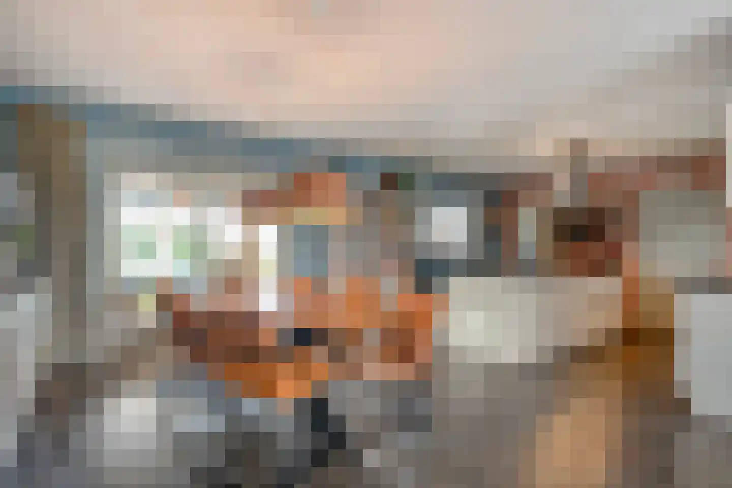 De Magnolia 38 Dedemsvaart thumbnail 12