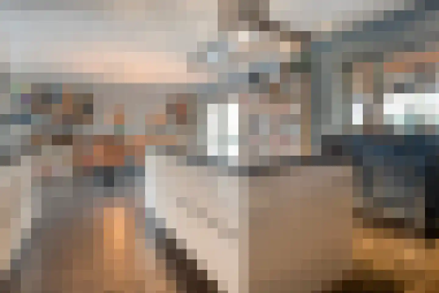 De Magnolia 38 Dedemsvaart thumbnail 13