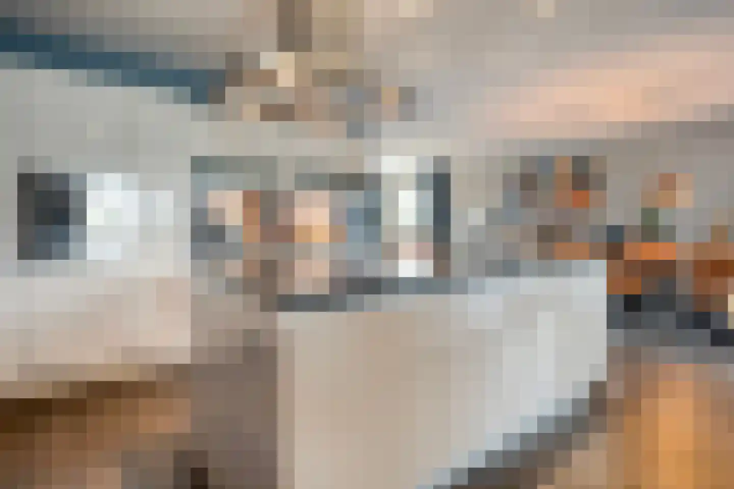 De Magnolia 38 Dedemsvaart thumbnail 15