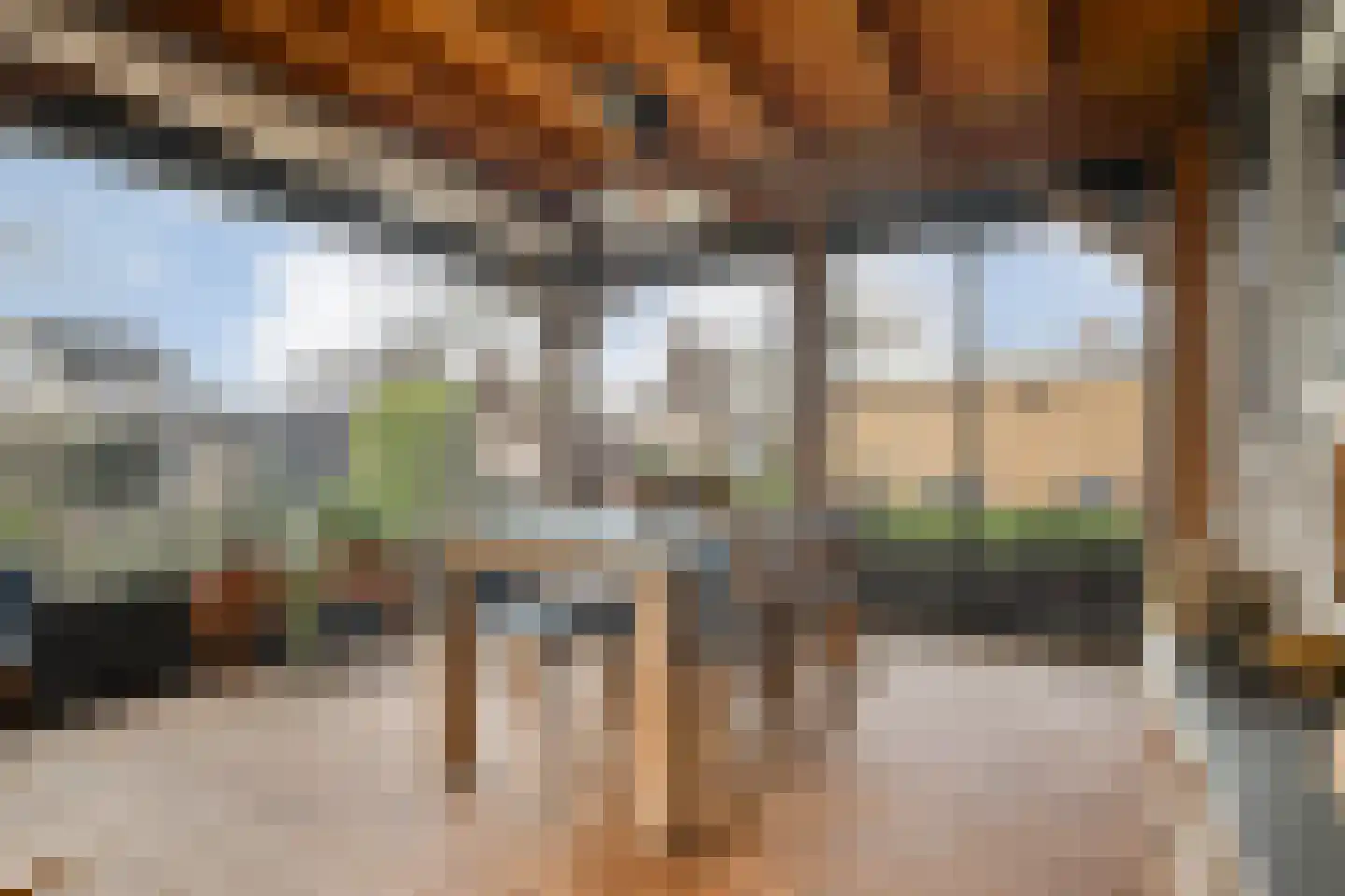De Magnolia 38 Dedemsvaart thumbnail 17