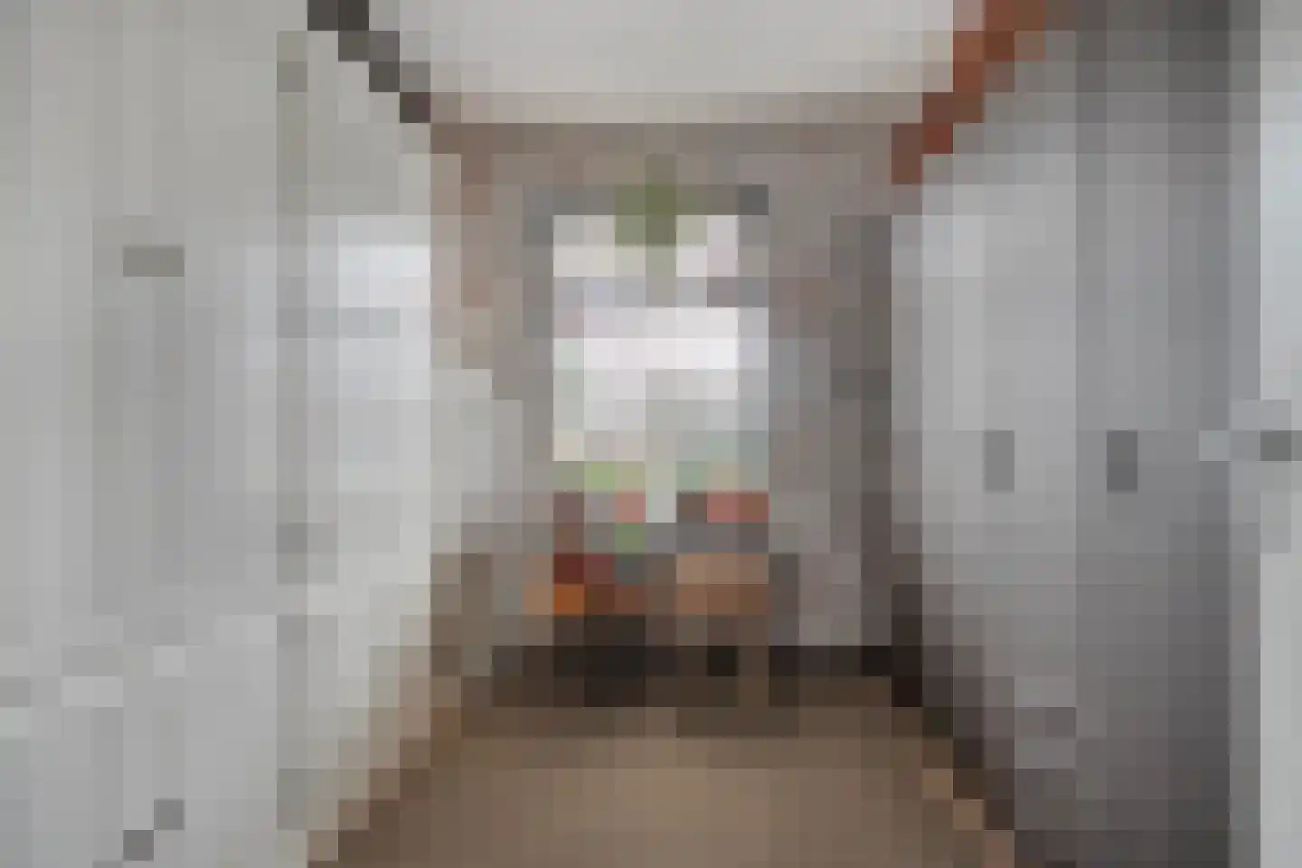 De Magnolia 38 Dedemsvaart thumbnail 20