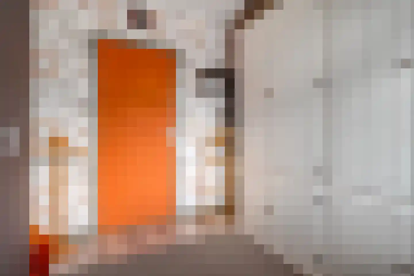 De Magnolia 38 Dedemsvaart thumbnail 21