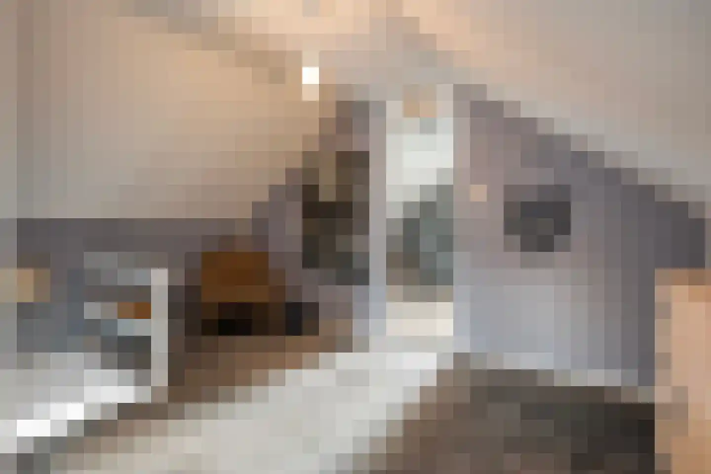 De Magnolia 38 Dedemsvaart thumbnail 27