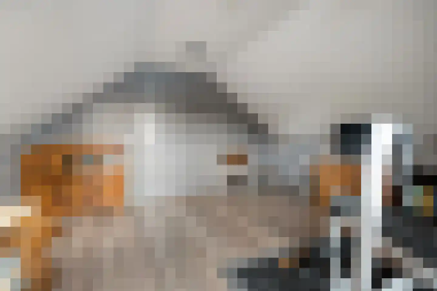 De Magnolia 38 Dedemsvaart thumbnail 32