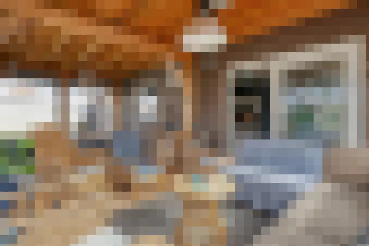 De Magnolia 38 Dedemsvaart thumbnail 36
