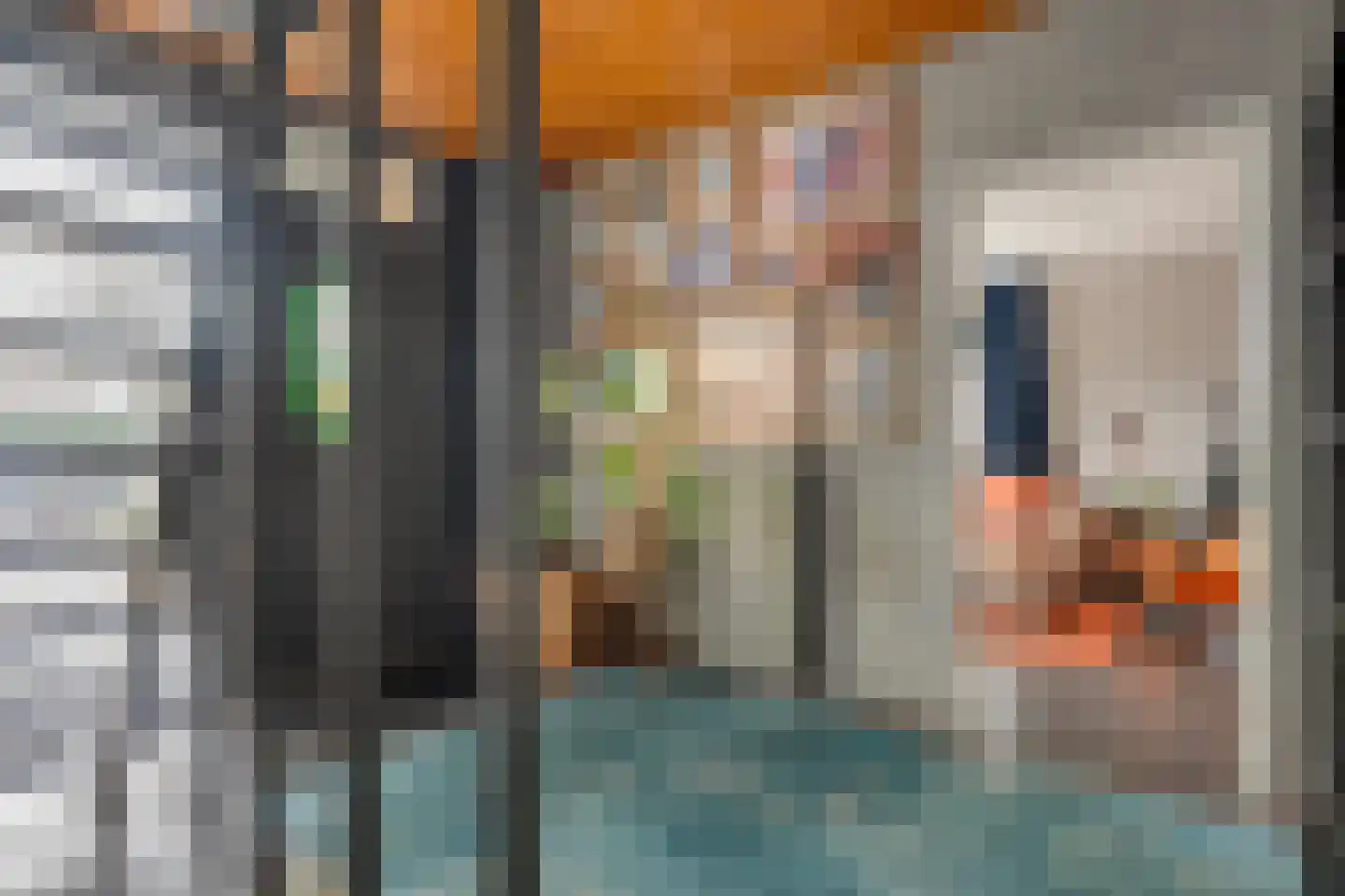 De Magnolia 38 Dedemsvaart thumbnail 7