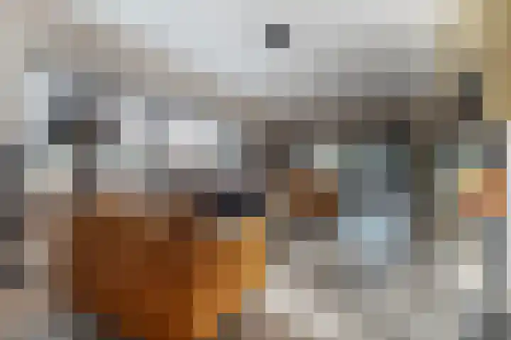 De Magnolia 40 Dedemsvaart thumbnail 10